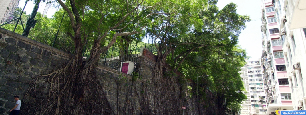 How to stay productive when working from home